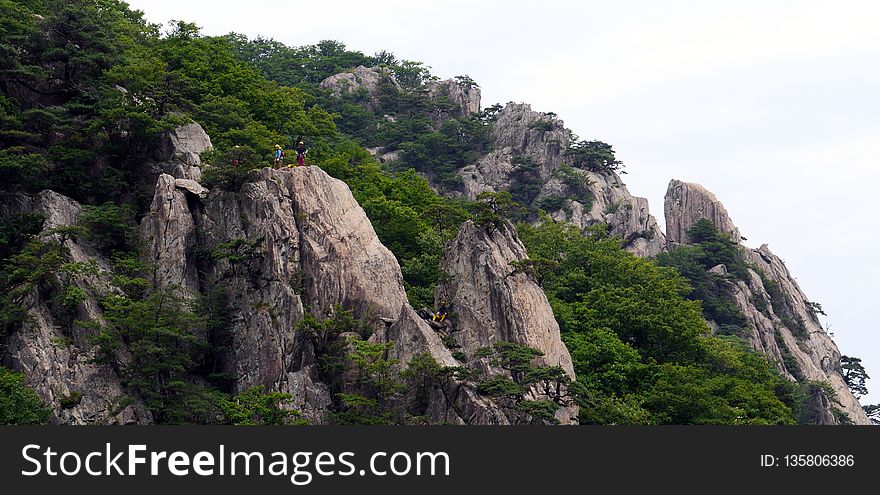 Rock, Nature Reserve, Vegetation, Mountain