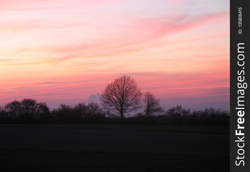 Sky, Red Sky At Morning, Dawn, Afterglow