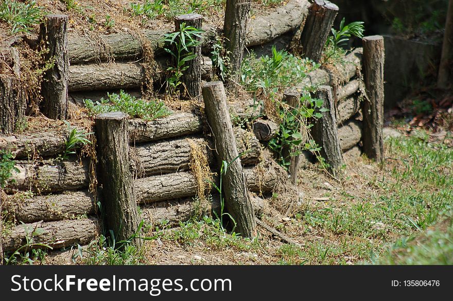 Grass, Rock, Outdoor Structure, Tree