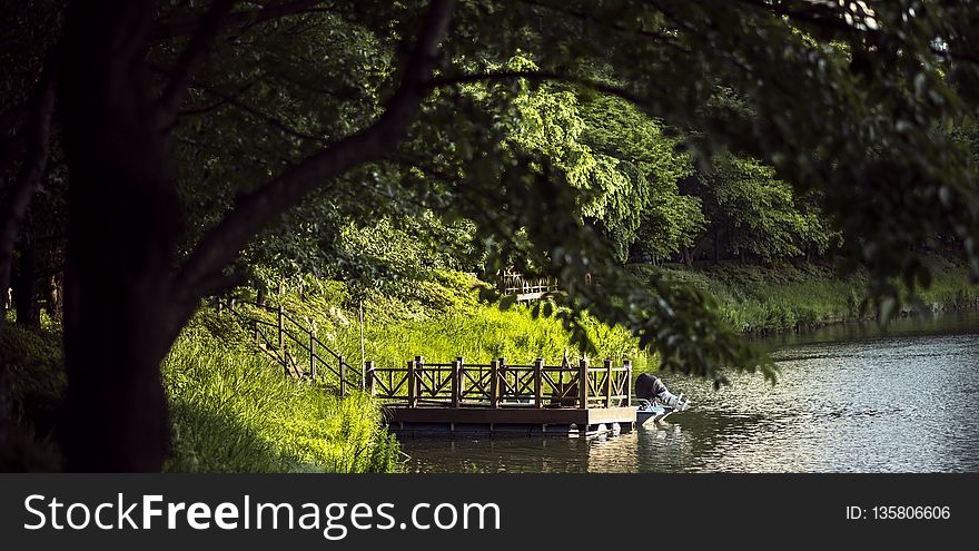 Waterway, Water, Nature, Reflection