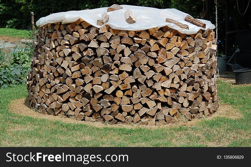 Stone Wall, Wood, Rock, Tree