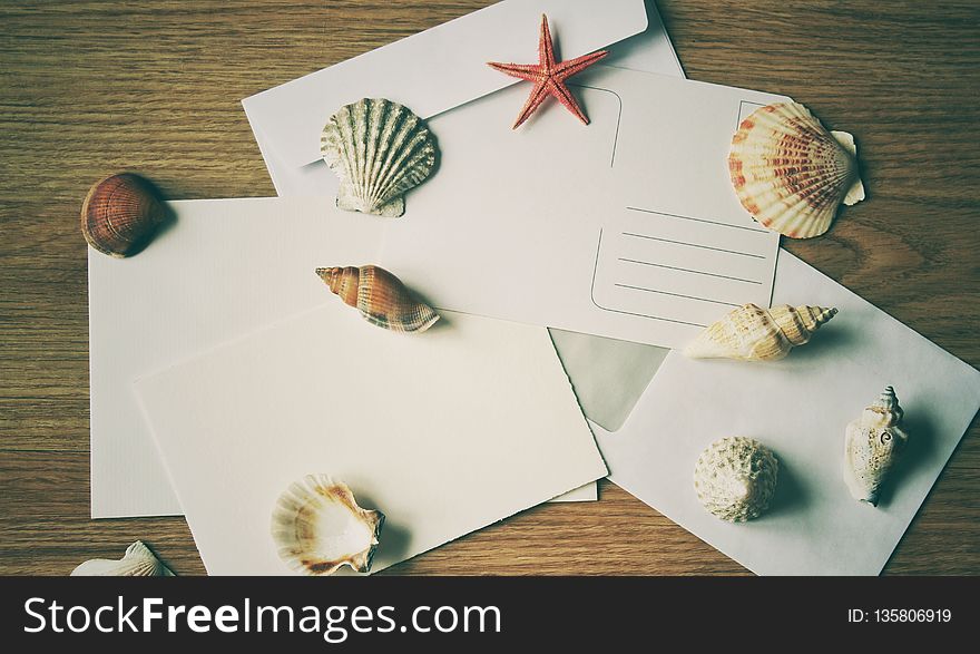 Seashell, Paper, Material