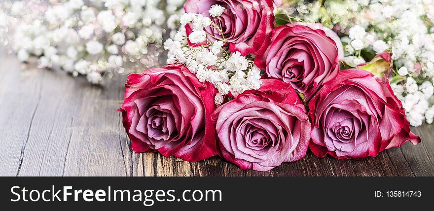 Pink Roses On White Background