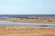 Desert Coastline Royalty Free Stock Photo Desert Coastline Royalty Free Stock Photo