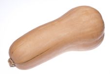 Butternut Squash Royalty Free Stock Image Butternut Squash Royalty Free Stock Image