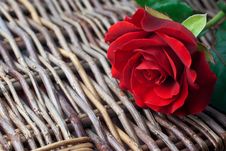 Red Rose On Wicker Background (copy Space) Royalty Free Stock Images Red Rose On Wicker Background (copy Space) Royalty Free Stock Images