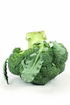 Ripe Broccoli Cabbage Royalty Free Stock Photo Ripe Broccoli Cabbage Royalty Free Stock Photo