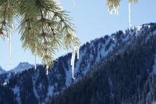 Winter Scene Royalty Free Stock Photos Winter Scene Royalty Free Stock Photos