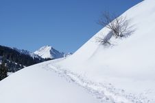 Winter Scene Stock Photo Winter Scene Stock Photo