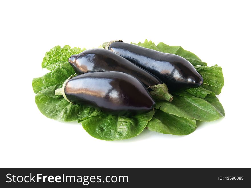 Three fresh aubergine on lettuce leaves on an isolated white background