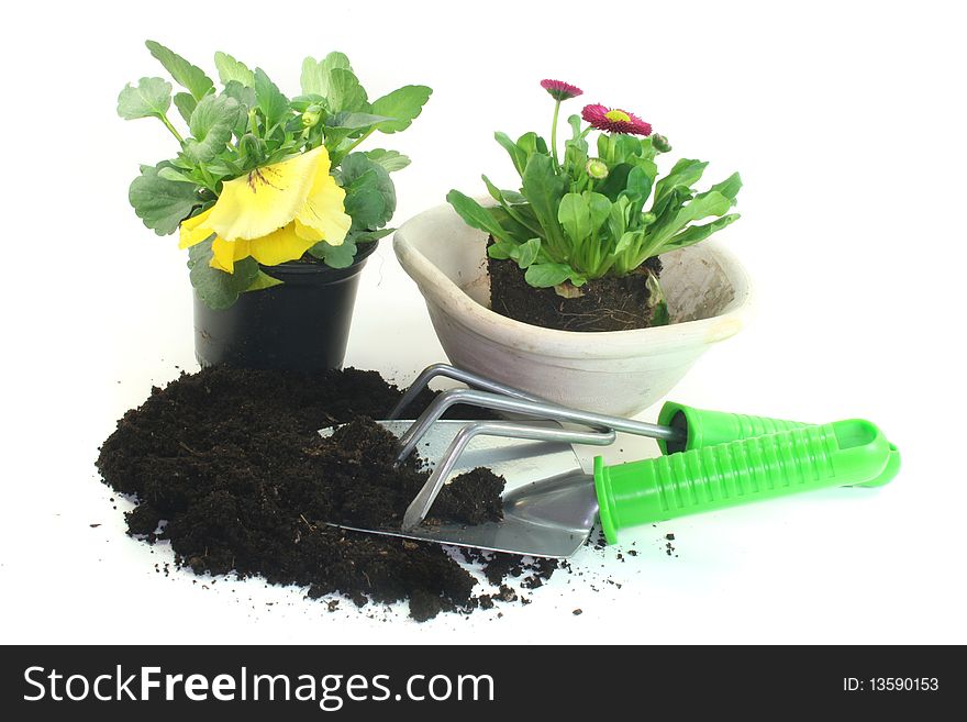 Various tools for planting with pansies and daisies. Various tools for planting with pansies and daisies