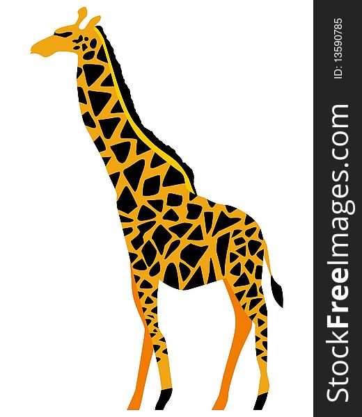 Colored vector illustration of giraffe
