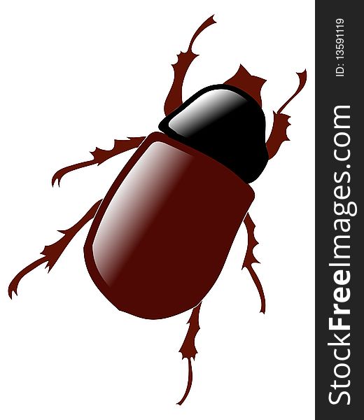 An illustration of may bug