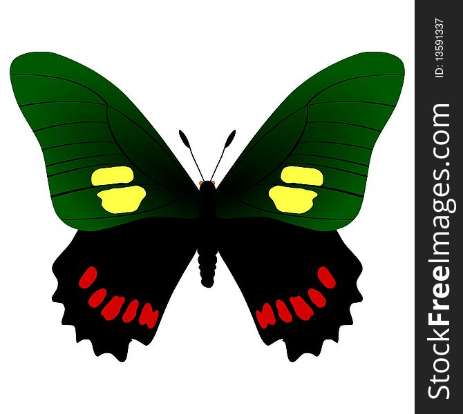 Vector illustration of eurytides harmodius butterfly