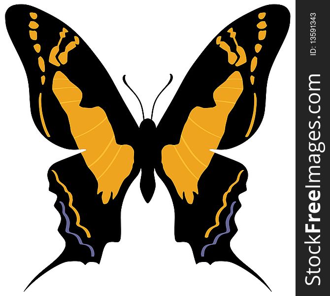 Vector illustration of Swallowtail butterfly