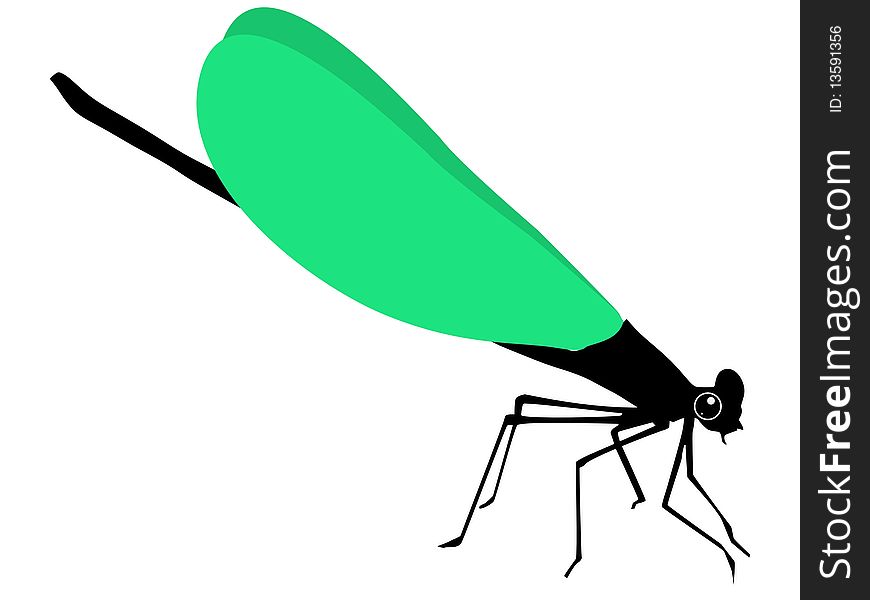 Colored vector illustration of dragonfly