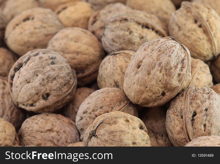 A few hard brown walnuts