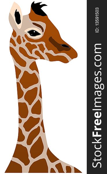 Vector illustration of giraffe cub