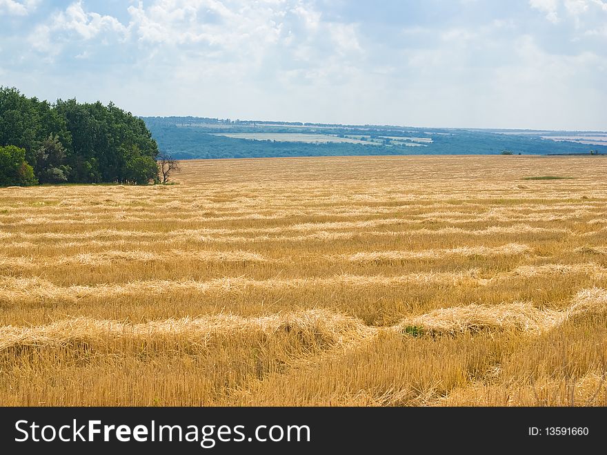 Time of mowing in Ukraine