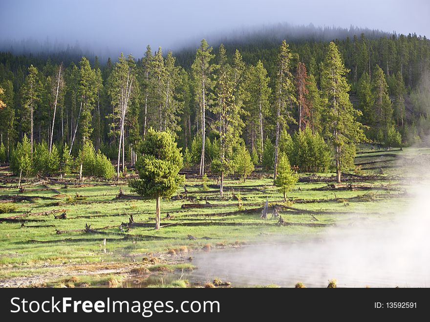 Sunlight breaks through the morning mist and steam from a geothermal rea in Yellowstone Park. Sunlight breaks through the morning mist and steam from a geothermal rea in Yellowstone Park