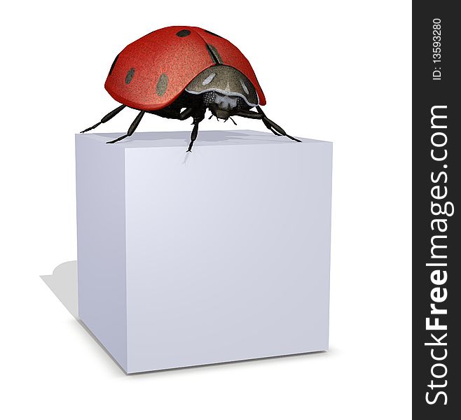 3d lady bug standing on a blank box