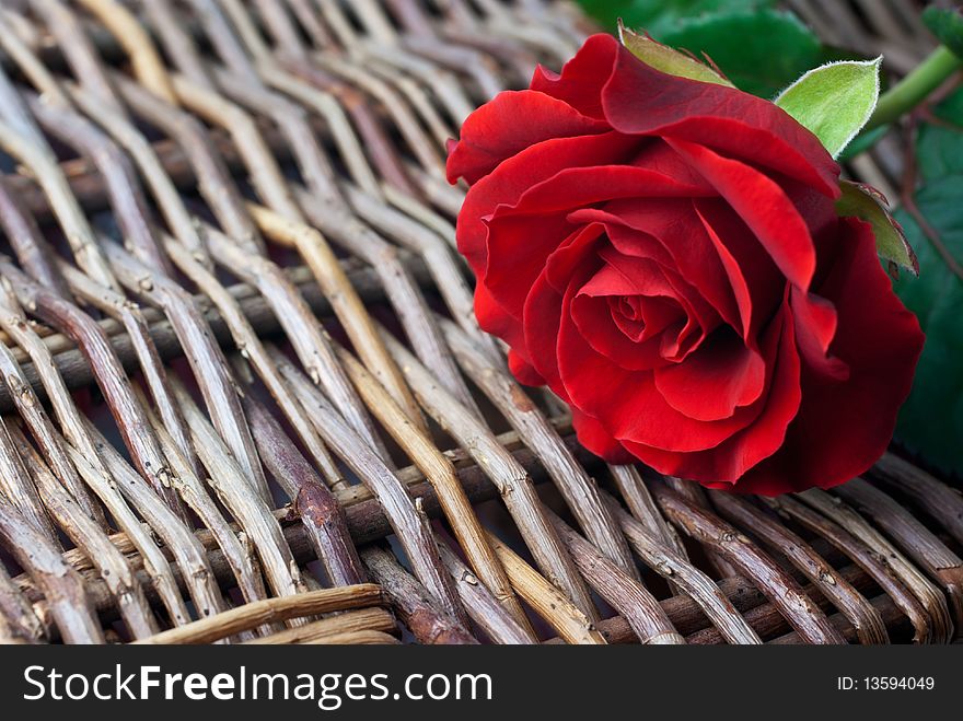 Red rose on wicker background (copy space, shallow depth of field). Red rose on wicker background (copy space, shallow depth of field)