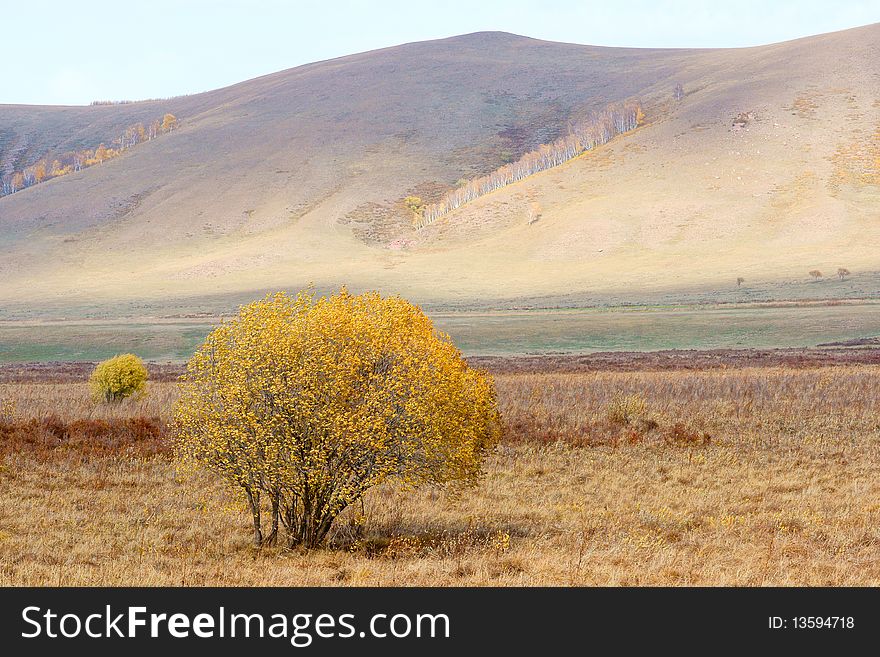 Autumn prairie scenery in Neimeng, China