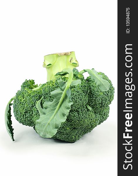 Ripe Broccoli Cabbage Isolated on White Background