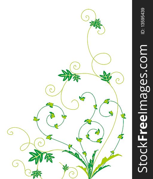 Drawing of green flower pattern in a white background. Drawing of green flower pattern in a white background