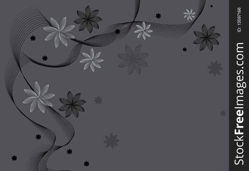 Beautiful flowers on a gray background. Beautiful flowers on a gray background