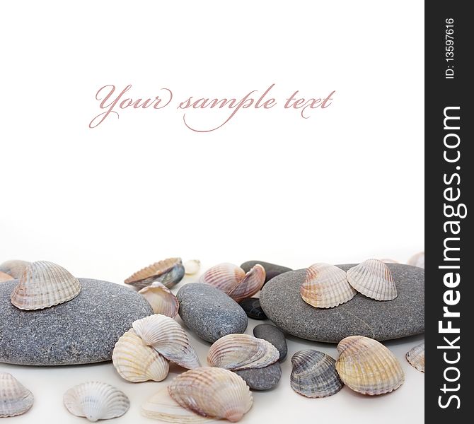 Cockle-shell With Pebble On White Background