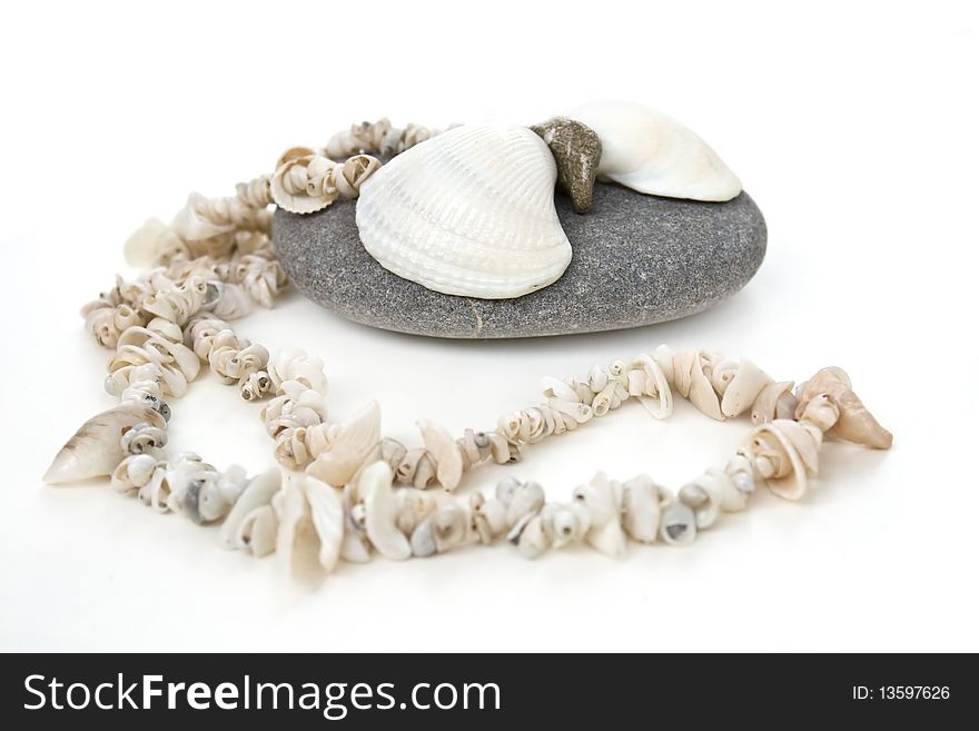 Beautiful Handmade Shell S Necklace