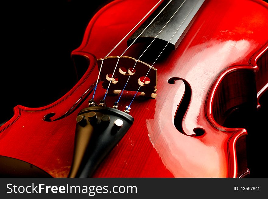 Violin