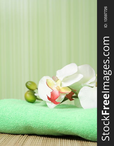 Bathroom in green tones. Towel green it is a white orchid. Bathroom in green tones. Towel green it is a white orchid