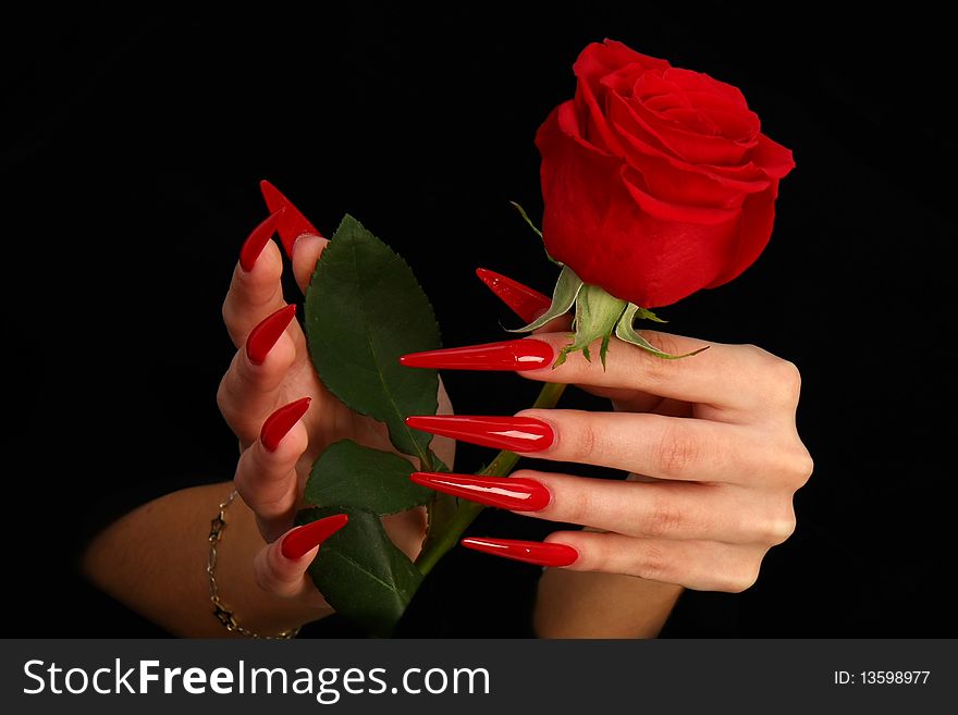 Nails hands, woman gentle, flower, accurate, manicure dangerous