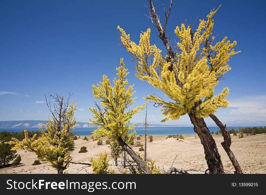 Fall on Baikal