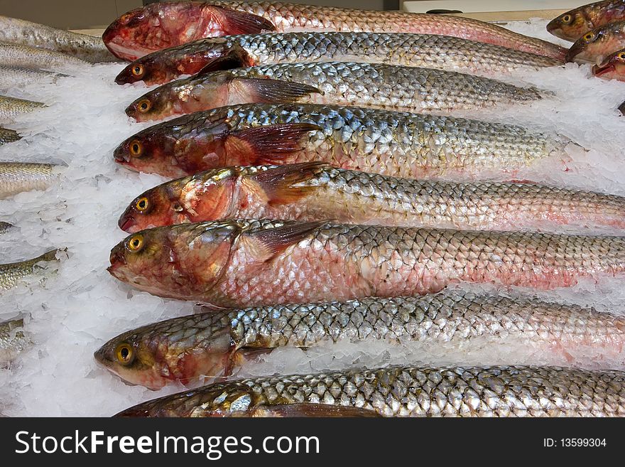 Plenty of fresh raw fish in supermarket