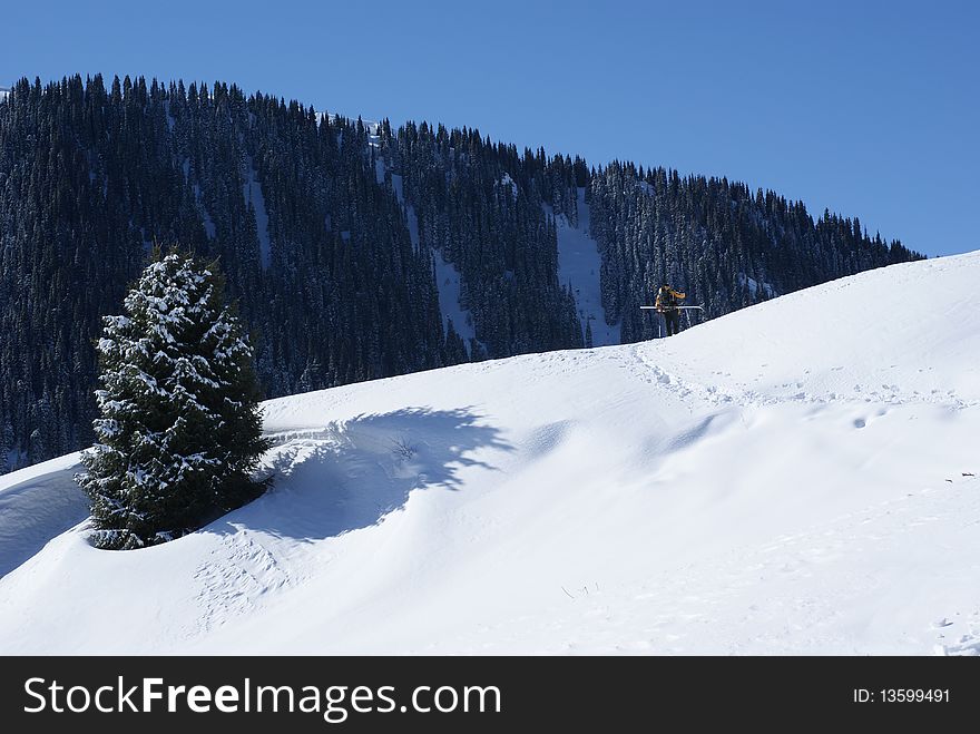 Winter scene