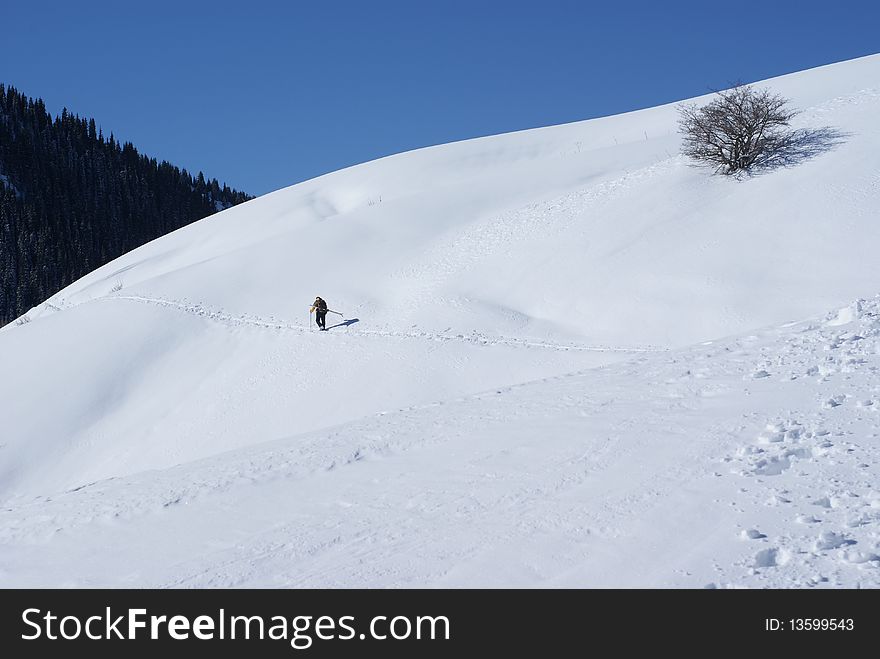 Winter Scene