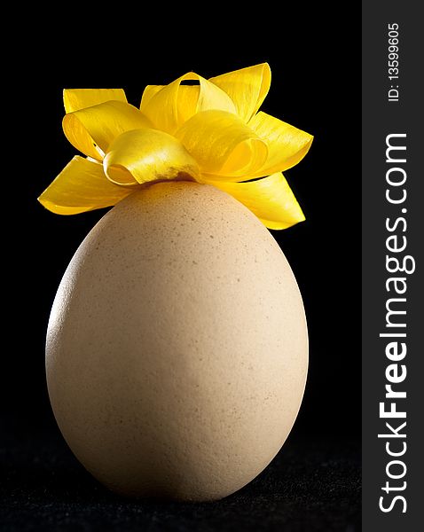 Egg with Yellow Rosette on Black Background