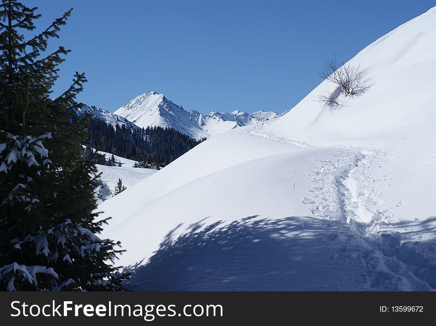 Winter scene