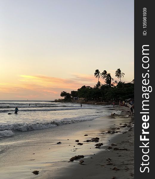 Sea, Beach, Sky, Ocean