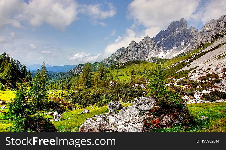 Nature, Mountainous Landforms, Vegetation, Wilderness