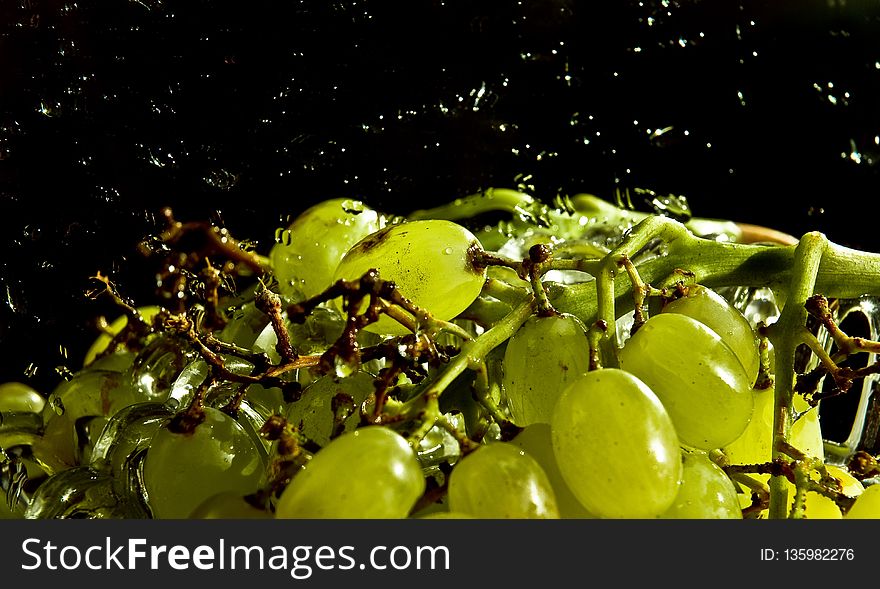 Grape, Grapevine Family, Fruit, Plant