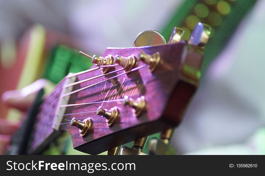 Purple, Close Up, String Instrument Accessory, Guitar Accessory