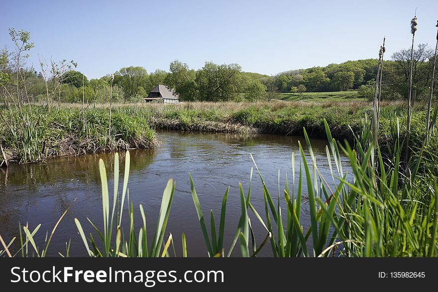 Waterway, Nature Reserve, Wetland, Water