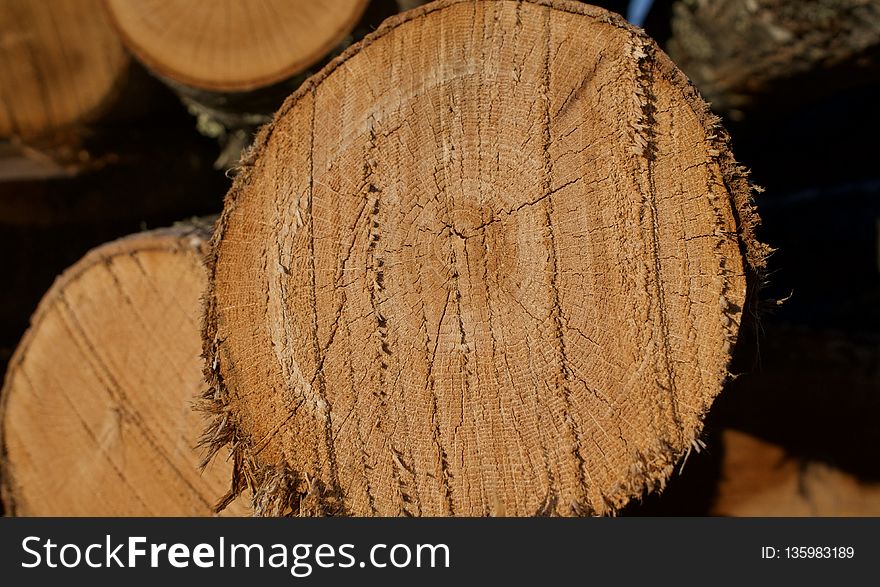 Wood, Trunk