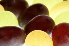 Grapes Royalty Free Stock Photography Grapes Royalty Free Stock Photography