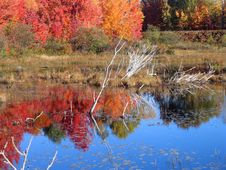 Autumn Lake Reflection Royalty Free Stock Photography Autumn Lake Reflection Royalty Free Stock Photography