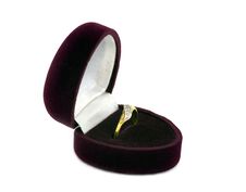 Ring Royalty Free Stock Photography Ring Royalty Free Stock Photography